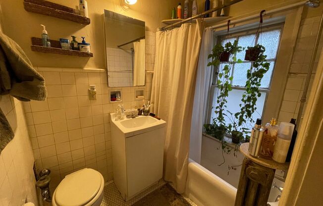Studio, 1 bath, $875, Unit 105