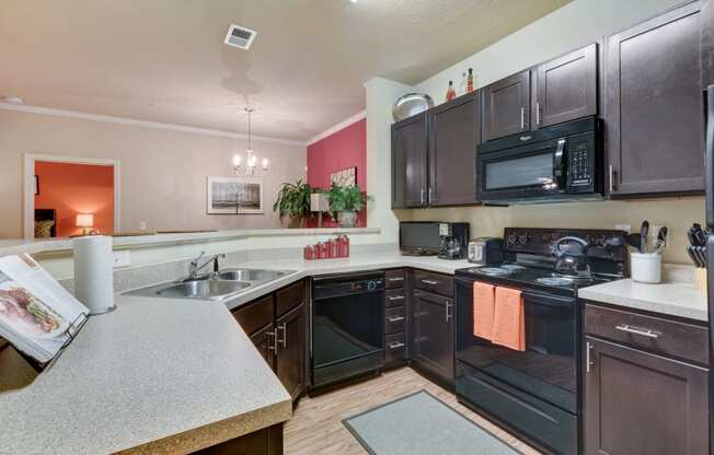 Kitchen with Black GE Appliances at Patriot Park Apartment Homes in Fayetteville, NC,28311