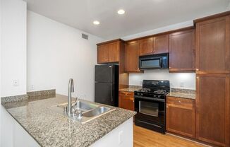Condo With Luxury Amenities