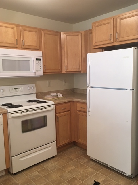 Studio, 1 bath, $1,300, Unit 871-101