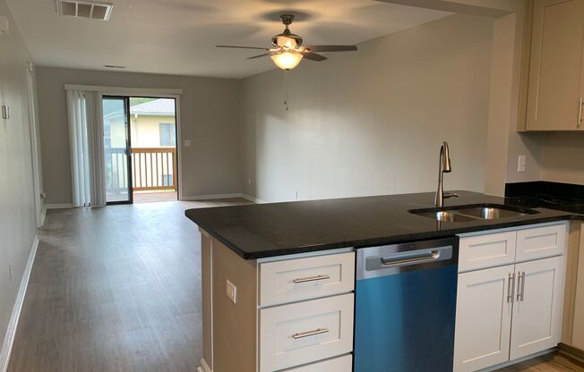 2 Bedroom 2 Bath Completely Completely Renovated Park Place Condo