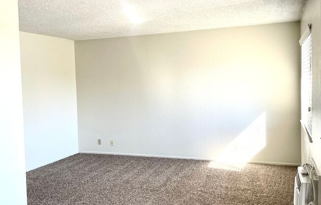 1 bed, 1 bath, 700 sqft, $995, Unit 3