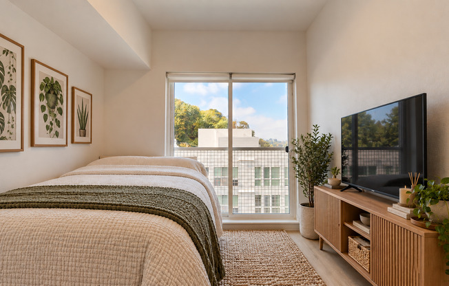 Studio, 1 bath, 304 sqft, $1,294, Unit 509