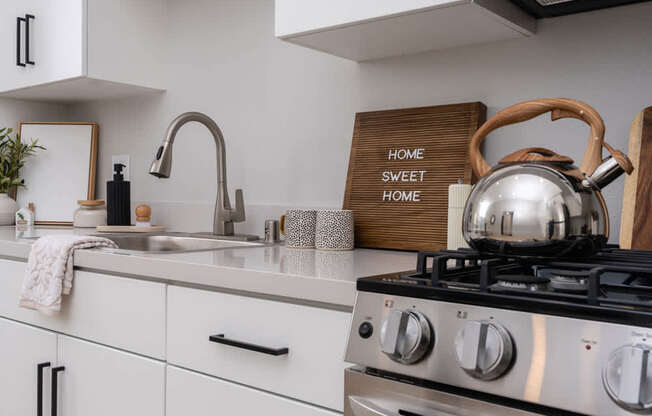 Detail shot of stove and kitchen sink