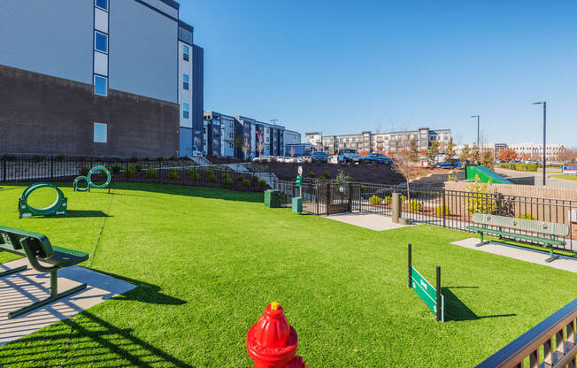 Dog Park with agility course