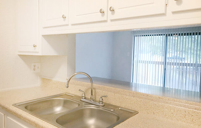 Double Kitchen Sink in apartment