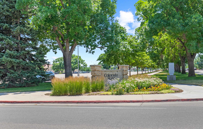 A sign that says Colorado in front of some trees.
