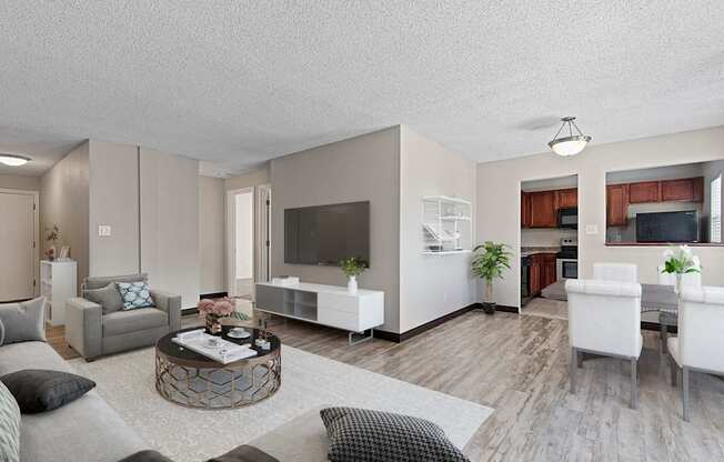 A modern living room with a grey couch, a coffee table, and a television.