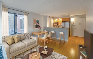 53 BOERUM PL