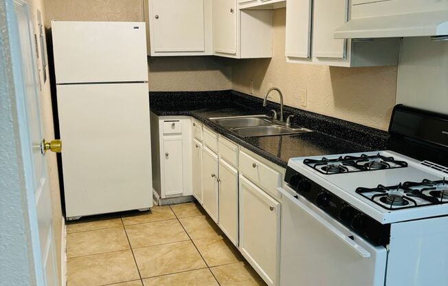 1 bed, 1 bath, 725 sqft, $1,300, Unit 1002