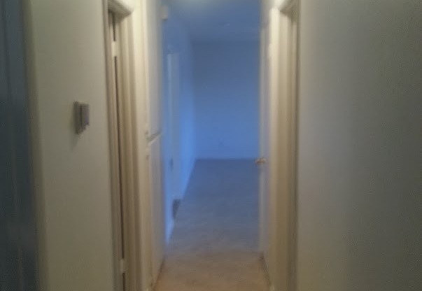 Beautiful Single Story 3 Bedroom 2 Bath Home!