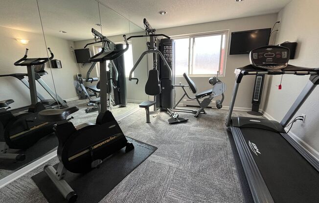 1 bed, 1 bath, 515 sqft, $1,289, Unit #202