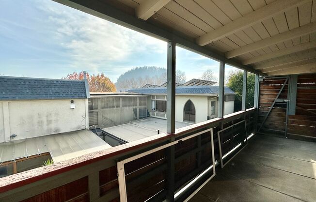 Brand New 400 SqFt Deck AND Balcony - In-unit Washer & Dryer