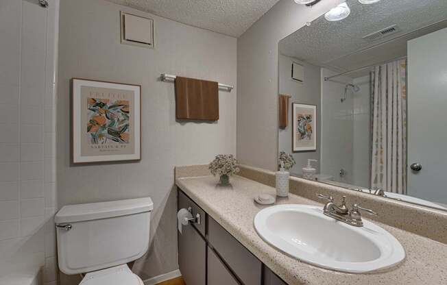 A bathroom with a white toilet, a sink, and a mirror.