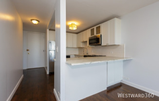 1660 N Lasalle Dr, 307