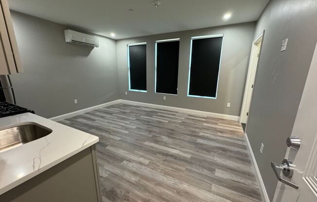 Studio, 1 bath, 300 sqft, $1,700, Unit 202