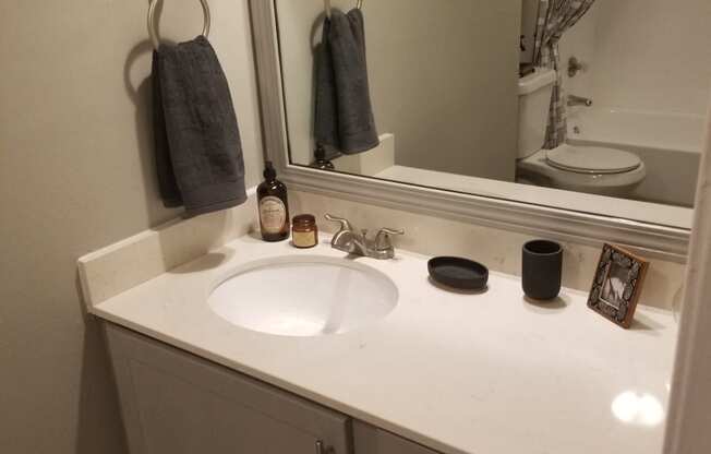 Oakwood Creek Apartments bathroom sink, mirror, and counter with cabinets