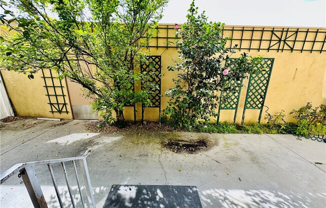 6225 COLDWATER CYN AVE