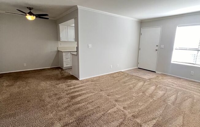 2 beds, 2 baths, 1,000 sqft, $2,795, Unit 203