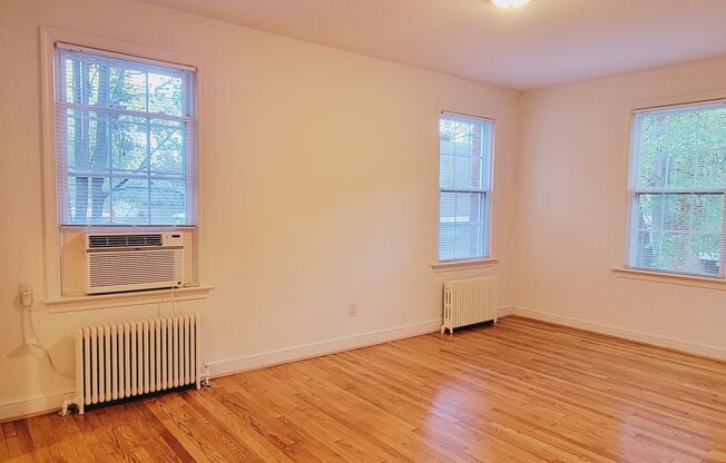 Luray Apartments