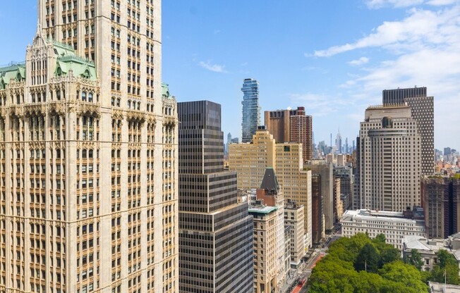 1 bed, 1 bath, $5,500, Unit 25N