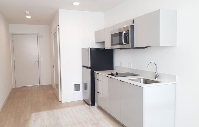 Studio, 1 bath, 214 sqft, $1,145, Unit 002