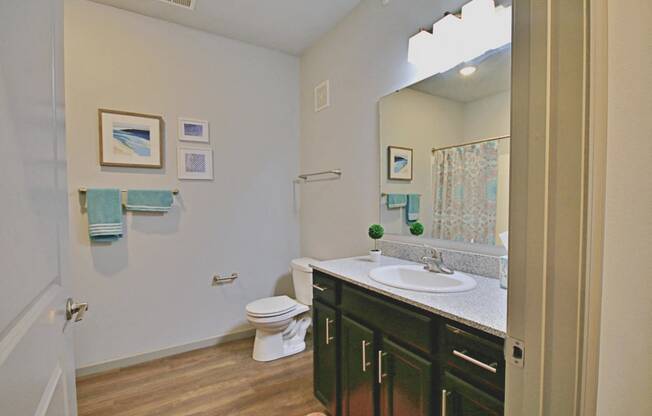 a bathroom with a sink and a toilet and a mirror