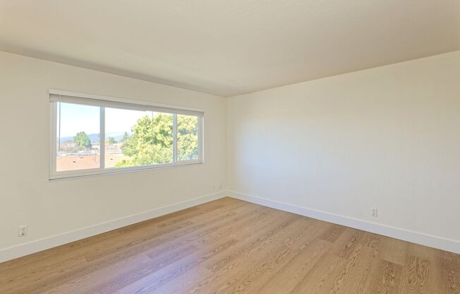 1 bed, 1 bath, 650 sqft, $1,975, Unit 315