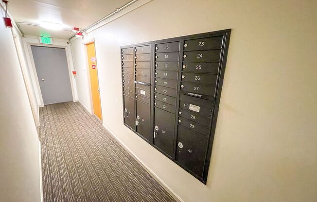 1 bed, 1 bath, 475 sqft, $1,495, Unit 303