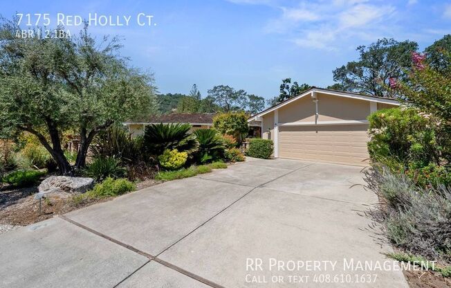 7175 RED HOLLY CT