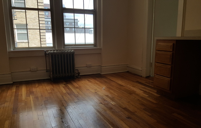 Studio, 1 bath, 275 sqft, $1,000, Unit 301