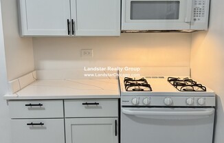 4525 N Paulina St 3B