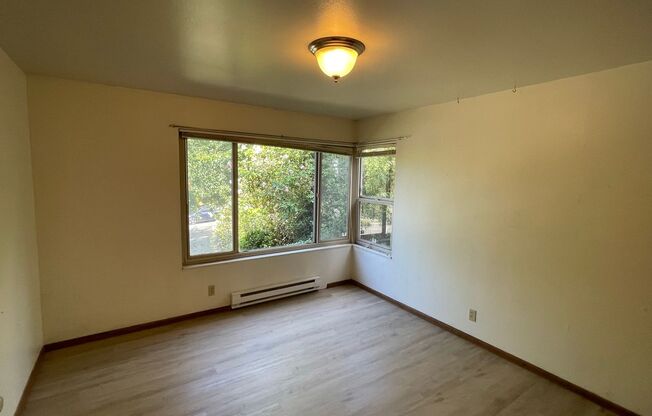 Carol Apartments