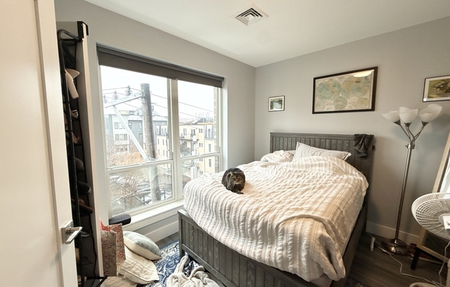 1 bed, 1 bath, 640 sqft, $3,395, Unit 310