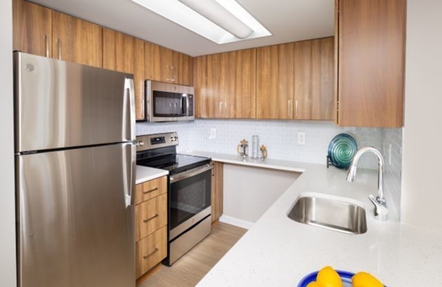 Renovated Apartments With Quartz Countertops, Energy Efficient Stainless Steel Appliances and Wood-Style Flooring Throughout Kitchen and Living Areas