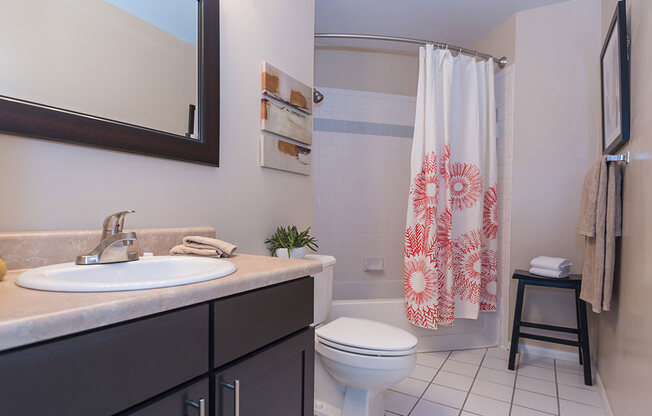 Spa Inspired Bathroom at Reflection Cove Apartments, Manchester, Missouri