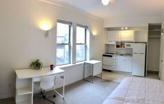 Studio, 1 bath, 241 sqft, $1,150, Unit 209