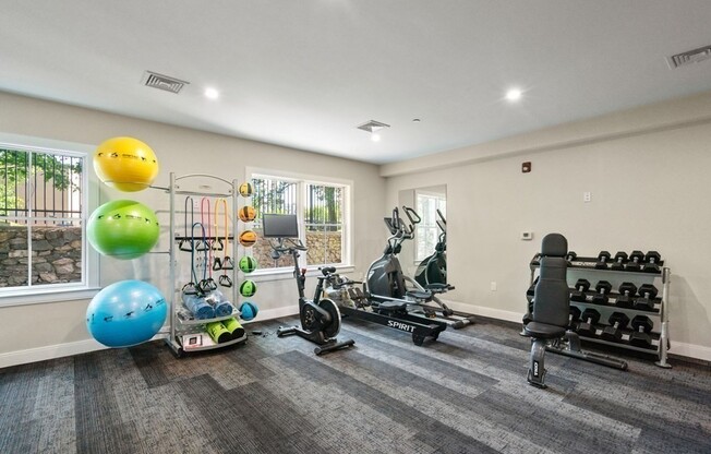 1 bed, 1 bath, 659 sqft, $2,900, Unit 107
