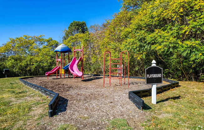 a playground with slides and other toys in a park