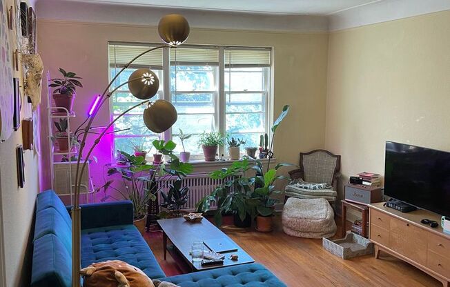 2 beds, 1 bath, 753 sqft, $1,339, Unit 214