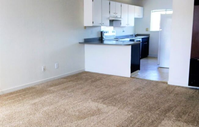 2 beds, 1 bath, 700 sqft, $1,200, Unit 415 Reno A*