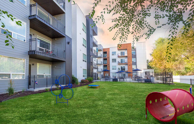 dog park with recreational toys in grass