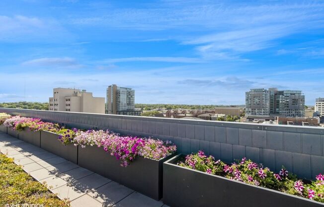 Studio, 1 bath, 266 sqft, $1,130, Unit #202