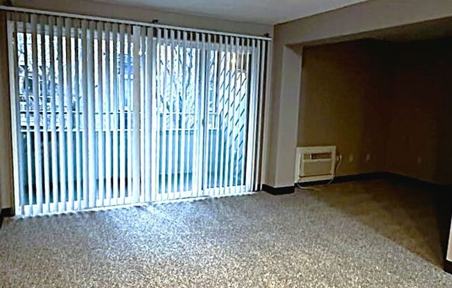 Studio, 1 bath, 440 sqft, $1,085, Unit 216