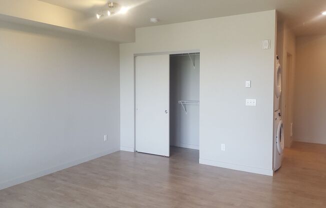 Studio, 1 bath, 305 sqft, $1,375, Unit 01-318
