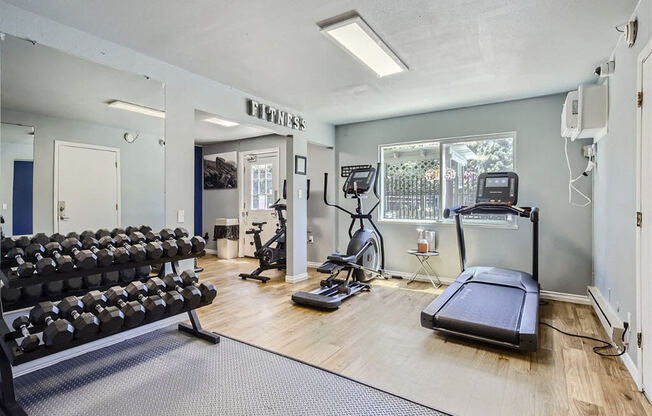 the gym is equipped with cardio equipment and weights