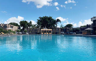 a large pool at a resort with palm trees