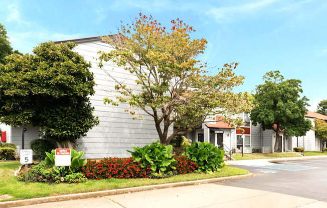 A tree with red flowers in front of a grey building.