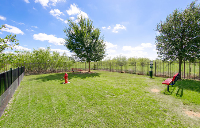 View of Fenced Dog Park, Showing Puppy Fire Hydrant, Benches, and Landscaping at Enclave on Golden Triangle Apartments