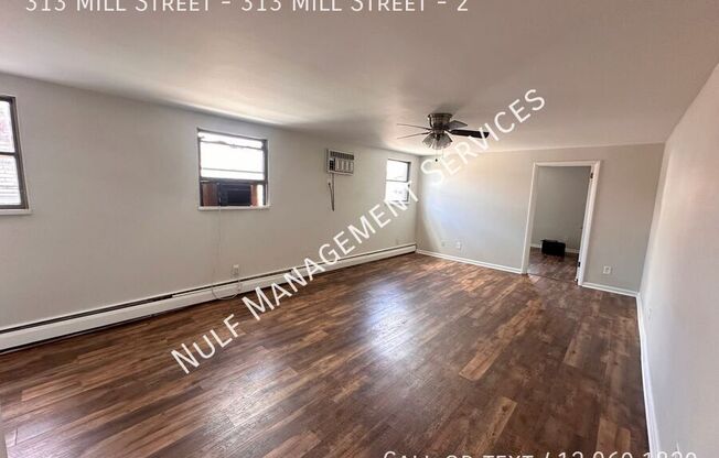 313 Mill Street - 313 Mill Street
